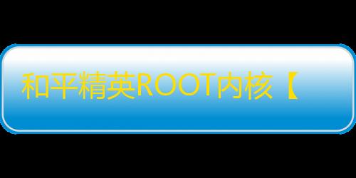 和平精英ROOT内核【万达pro】 外挂